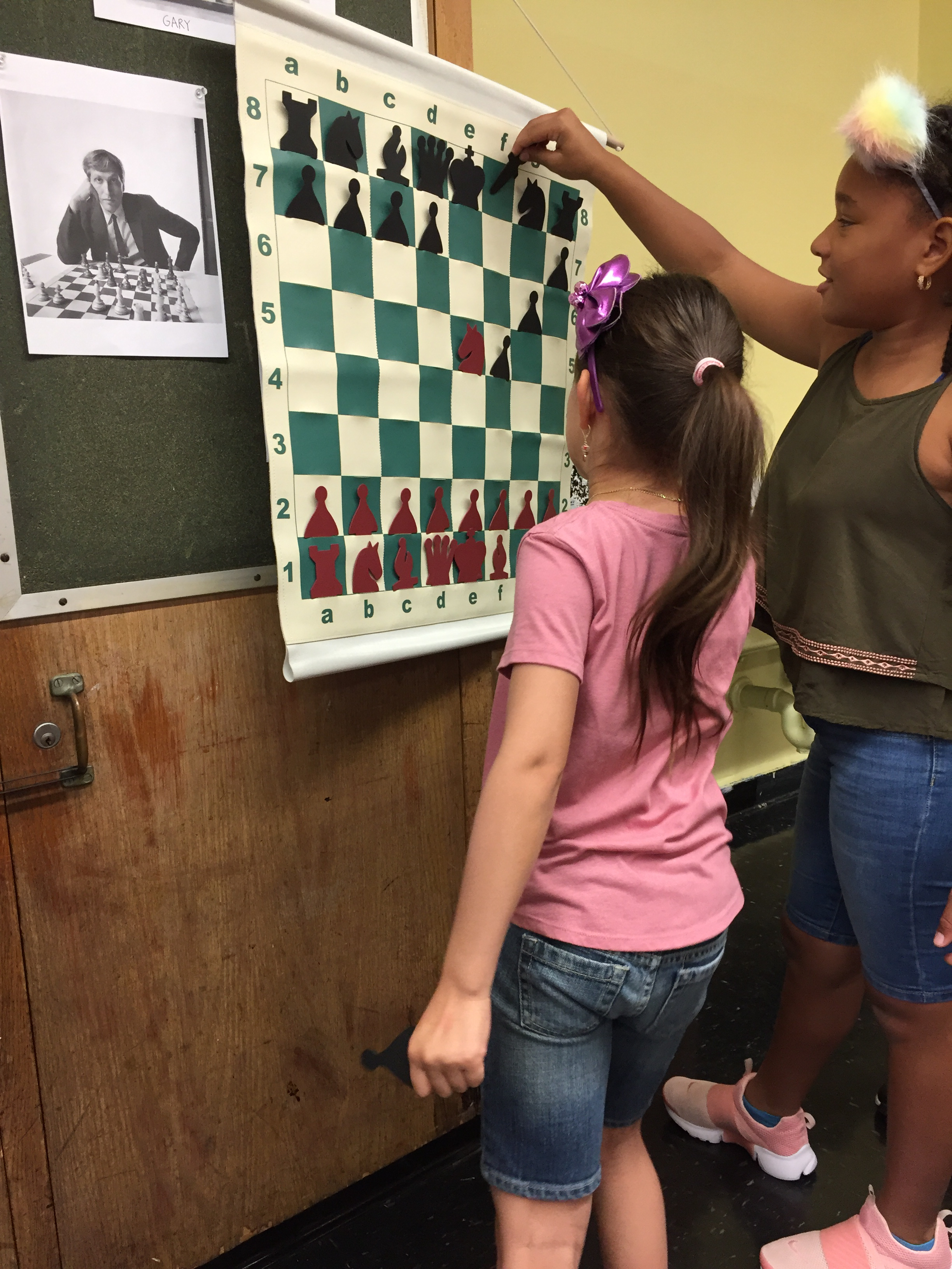 Summer Options  Chess school in Central Houston